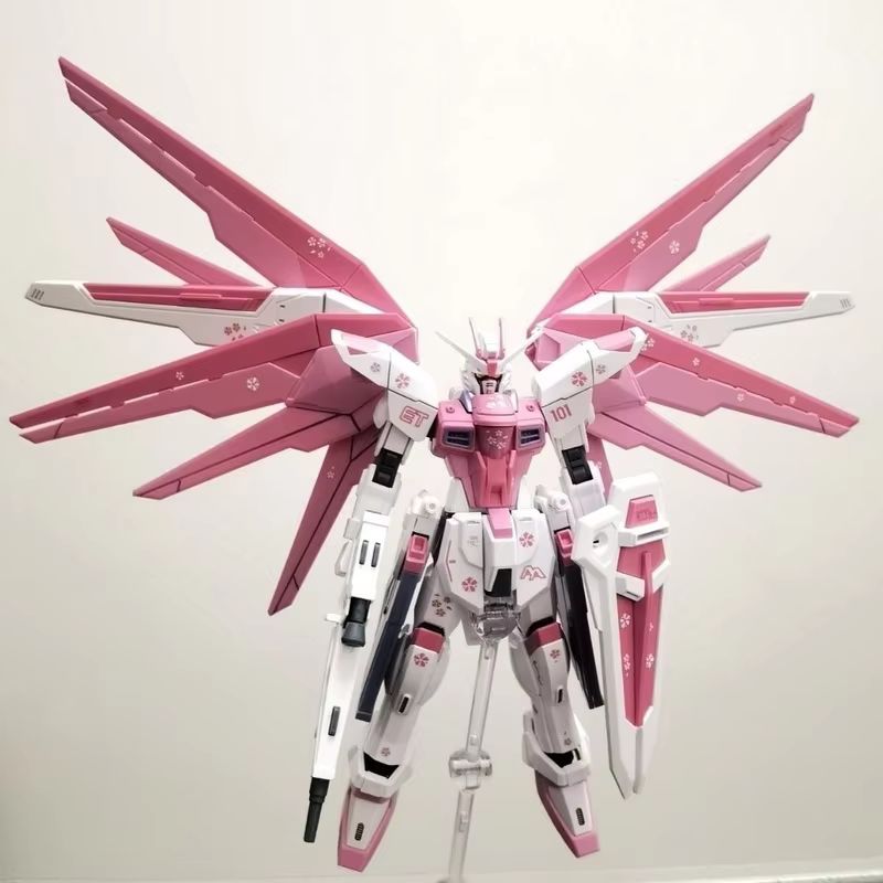 JMS HG 1/144 ZY-06 Freedom Ass - đánh giá và giá Model Kit Kshatriya