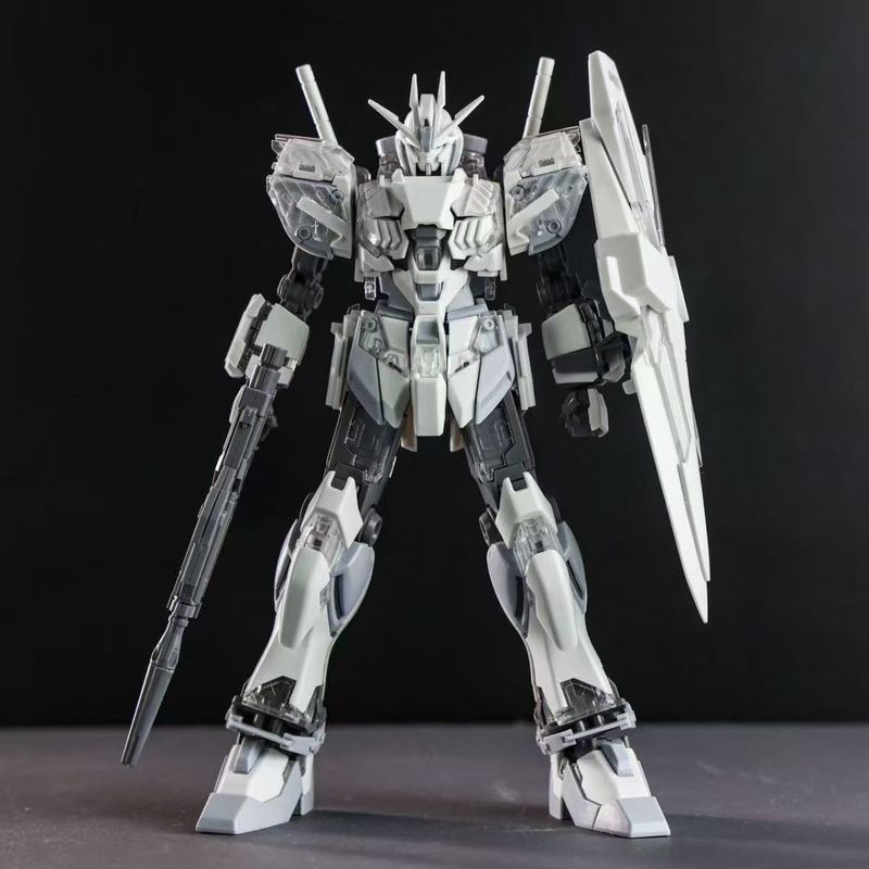 HG1/144 Narrative C Coating Ac - đánh giá và giá Model Kit Perfect Grade